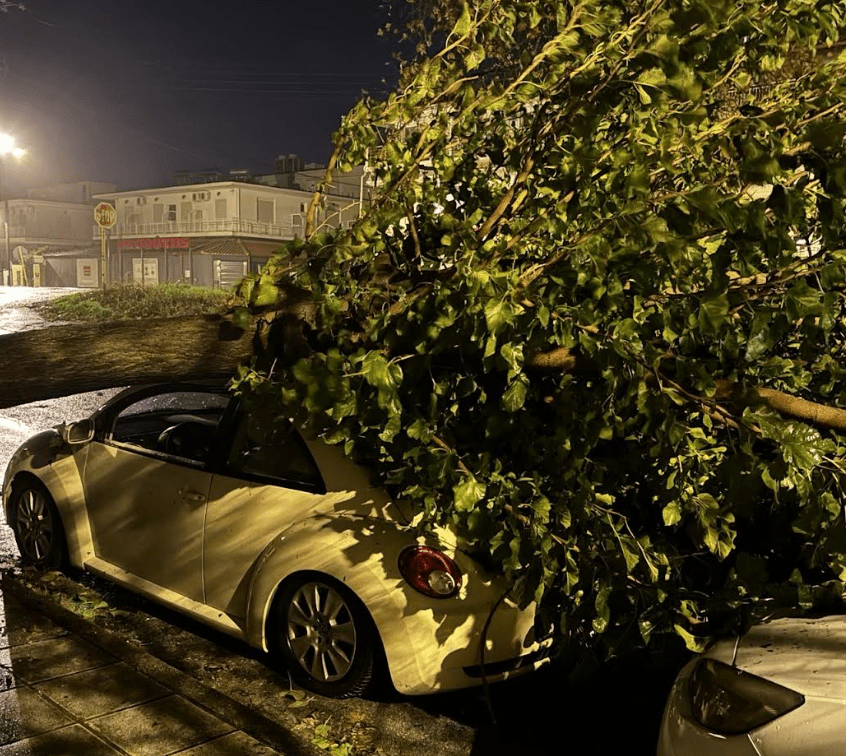 Στιγμιότυπο Οθόνης 2024 12 01 11.13.45 Πμ